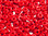 Cristal Checo - O Bead - 2x4mm - Opaque Red (5 gr.)