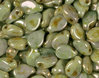 Cristal Checo - Pip - 5x7mm - Opaque Luster Green (50 Uds.)