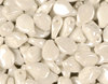 Cristal Checo - Pip - 5x7mm - Pearl White (50 Uds.)