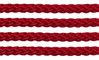 Textil - Cordoncillo Trenzado Poliéster - 3mm - Beaujolais (Beaujolais) (50 metros)