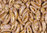 Cristal Checo - Chilli - 4x11mm - Lila Bronze Marbled (40 Uds.)