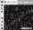 HTL0401 - Miyuki - Half Tila - 5x2,3x1,9mm - Opaque Black (5 gramos)